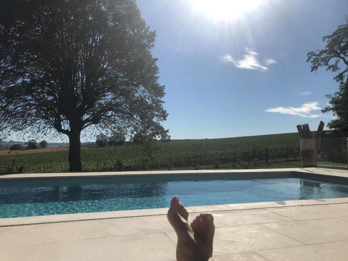 Best View, Pool And Spa On The Champagne Vineyard Saint-Thierry Экстерьер фото