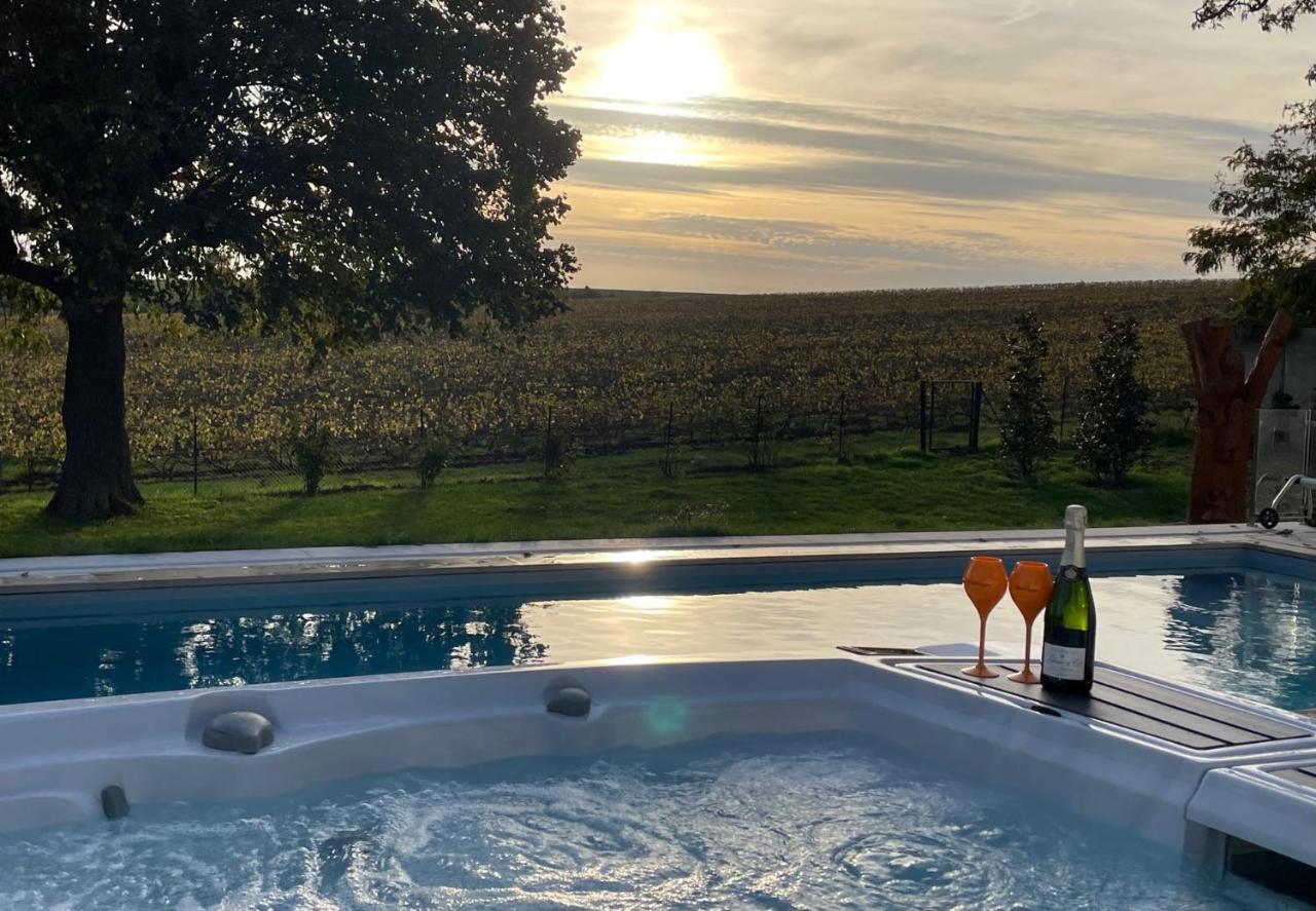 Best View, Pool And Spa On The Champagne Vineyard Saint-Thierry Экстерьер фото