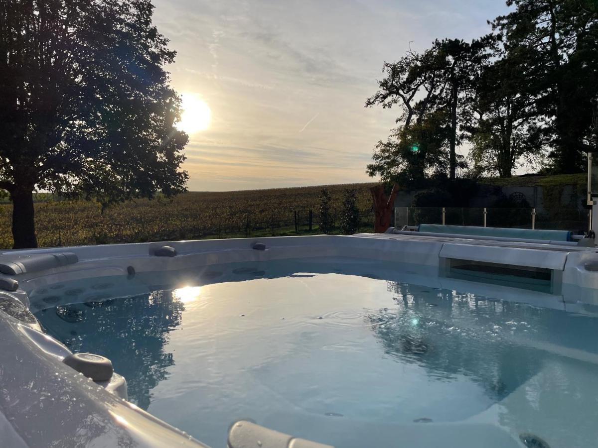 Best View, Pool And Spa On The Champagne Vineyard Saint-Thierry Экстерьер фото