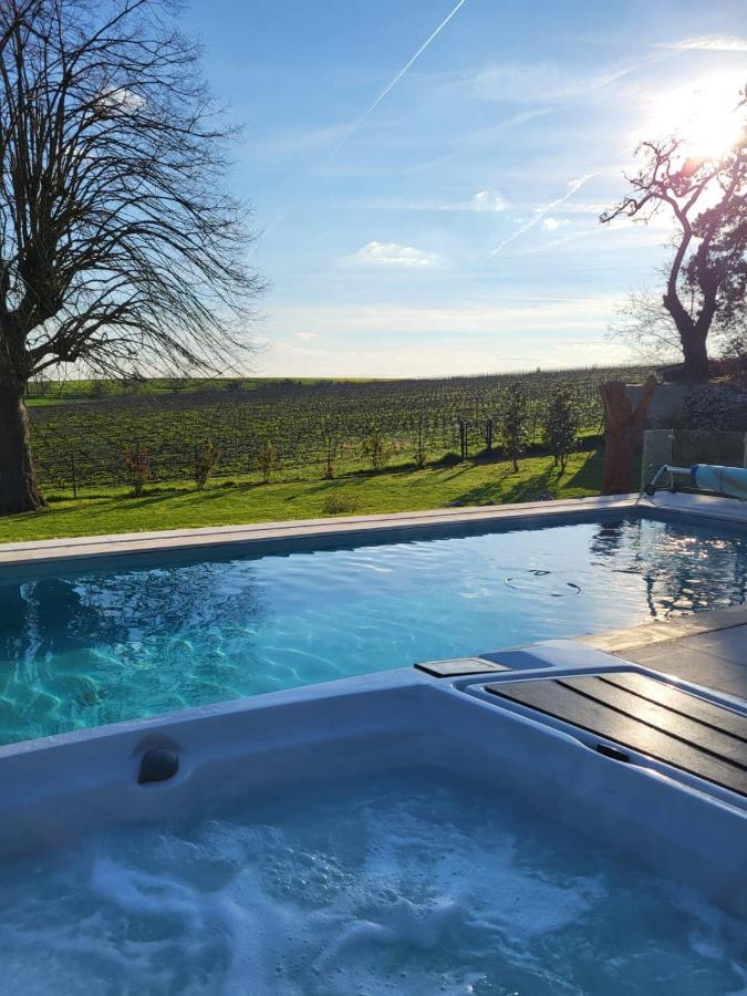 Best View, Pool And Spa On The Champagne Vineyard Saint-Thierry Экстерьер фото