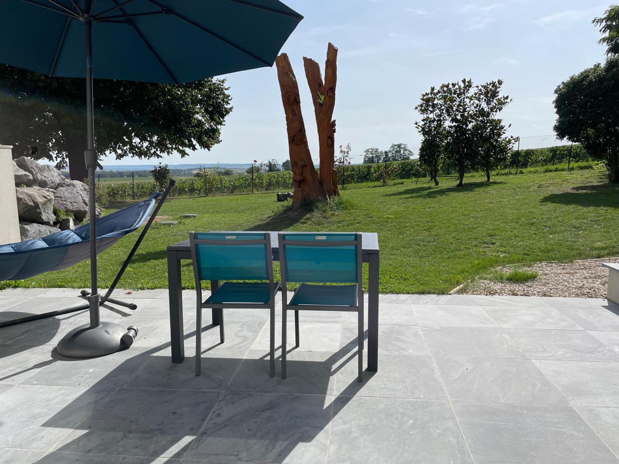 Best View, Pool And Spa On The Champagne Vineyard Saint-Thierry Экстерьер фото